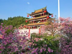 青山之上的“程序之困”--广东观音山国家森林公园事件折射自然保护地治理深